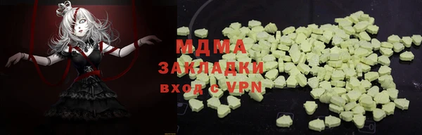 прущие грибы Тавда