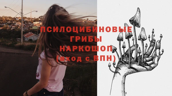 мяу мяу мука Зерноград