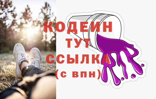 прущие грибы Тавда