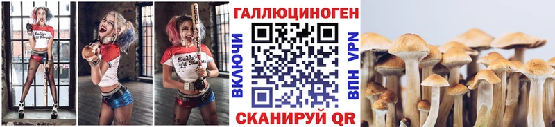 Галлюциногенные грибы GOLDEN TEACHER  наркошоп  Златоуст 