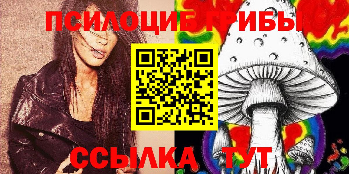 Псилоцибиновые грибы Cubensis Златоуст