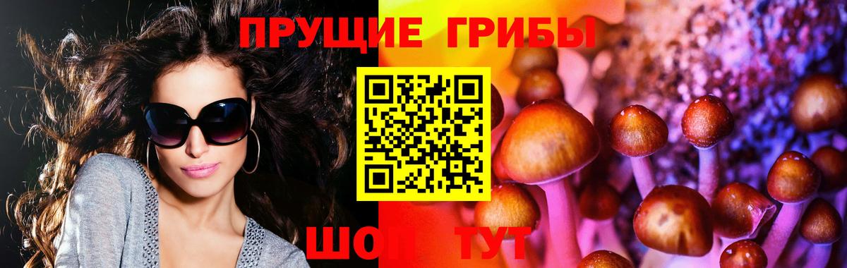 Галлюциногенные грибы мухоморы Златоуст