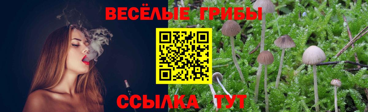 Галлюциногенные грибы прущие грибы  Вход с VPN  Златоуст 